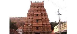 106. திருமெய்யம் (திருமயம்)
